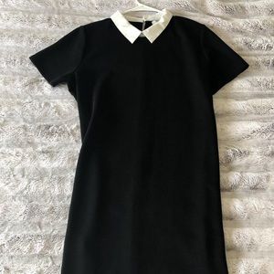 Zara black dress with white collar
